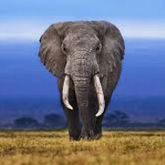 I'm not gonna sugarcoat it