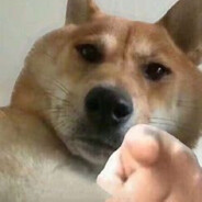 我直接就是斗气化马