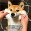 临江今天开心了吗(づ￣3￣)づ