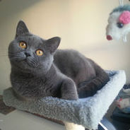 给对面的老奶奶开苞