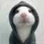 :3