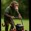 monkey with lawnmower???what??
