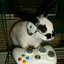 xbox360