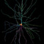 Your Last Neuron