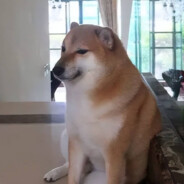 卡尔不是坏小孩