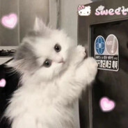 你像近亲结婚的产物