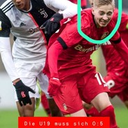 Mike Hanke
