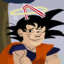 Reduced Fat Goku