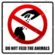 Don't feed the animal