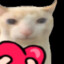 SillyCitter69