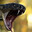 COBRA