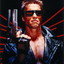 The Terminator