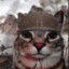 cat in war