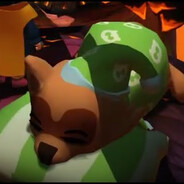 BizarreRaccoon