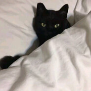 遇上你之前的我