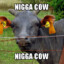 NCow