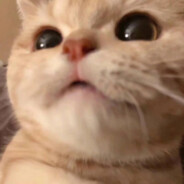 我知道你很急但是别急