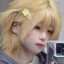 newbee