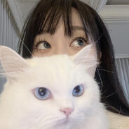 Solace. - steam id 76561199689379270