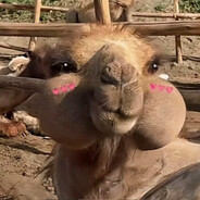 蛋包饭君！啾咪～