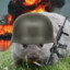 Combat Wombat