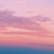 又菜又爱玩的涛