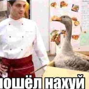 СЕКС МОДА НА КУРОЧКУ РЯБУ