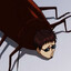 Madao