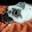 aimstrogen enjoyer's Avatar
