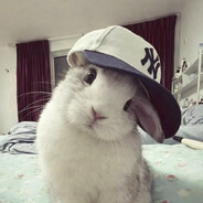 l0kvis