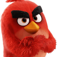 RDK