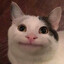 Schmung