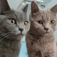 狂爆酷炫拽爆龙战神666