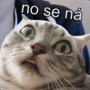 JosxD