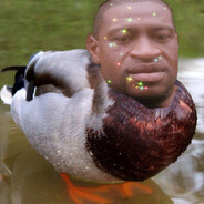 duckballs41