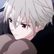 喜多川海梦的狗