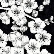 赐我一把斩情剑