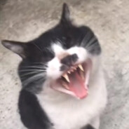 让我看看怎么个事