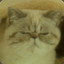 felixchen1987