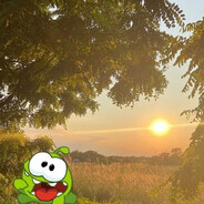 wx ☘