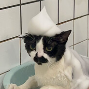 牛奶大王的走狗