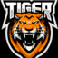 TIGER 重生