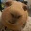 Noble_4