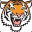 STST-Tiger