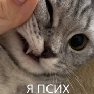 меф амф соль лс - steam id 76561199106185918