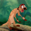 TIMON