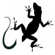 FullAvatar