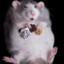 Fat Rat