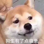 帝皇冠军哈基本米