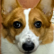 印度尼西亚哥们